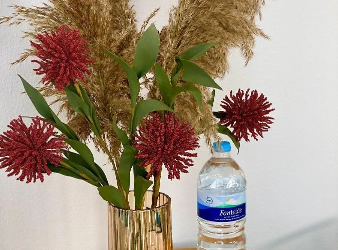 Lobos View 아파트 코라레호